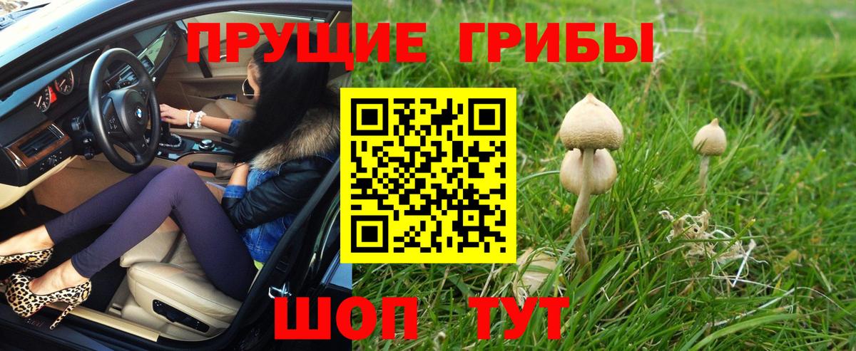 Псилоцибиновые грибы Psilocybine cubensis  Вход с VPN  Галлюциногенные грибы GOLDEN TEACHER  Нерюнгри 