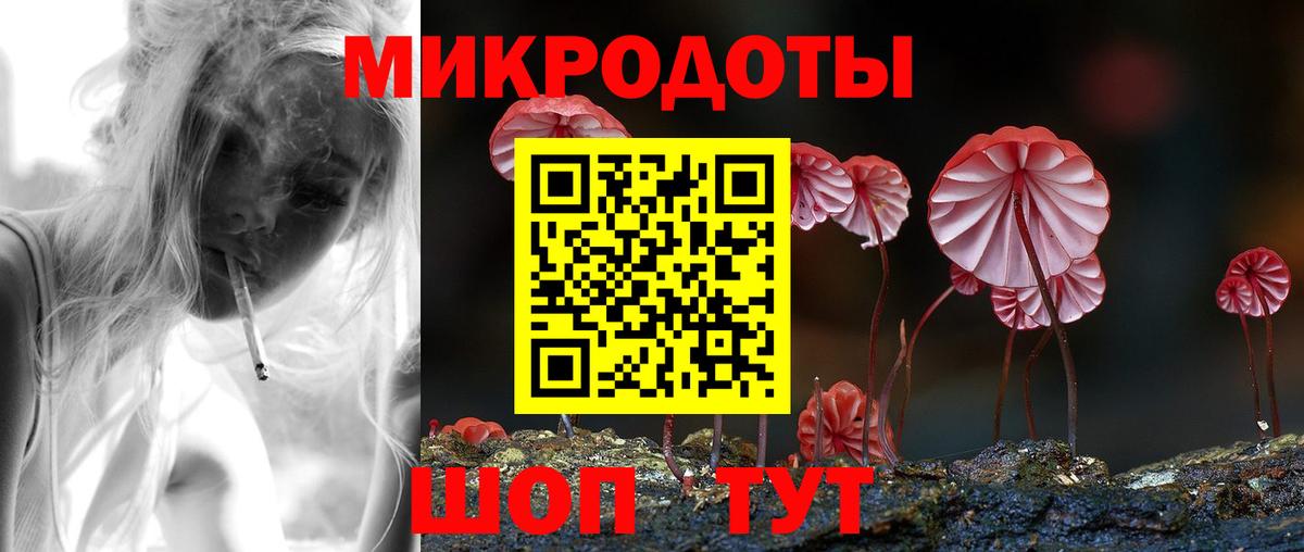 Псилоцибиновые грибы Psilocybine cubensis Нерюнгри